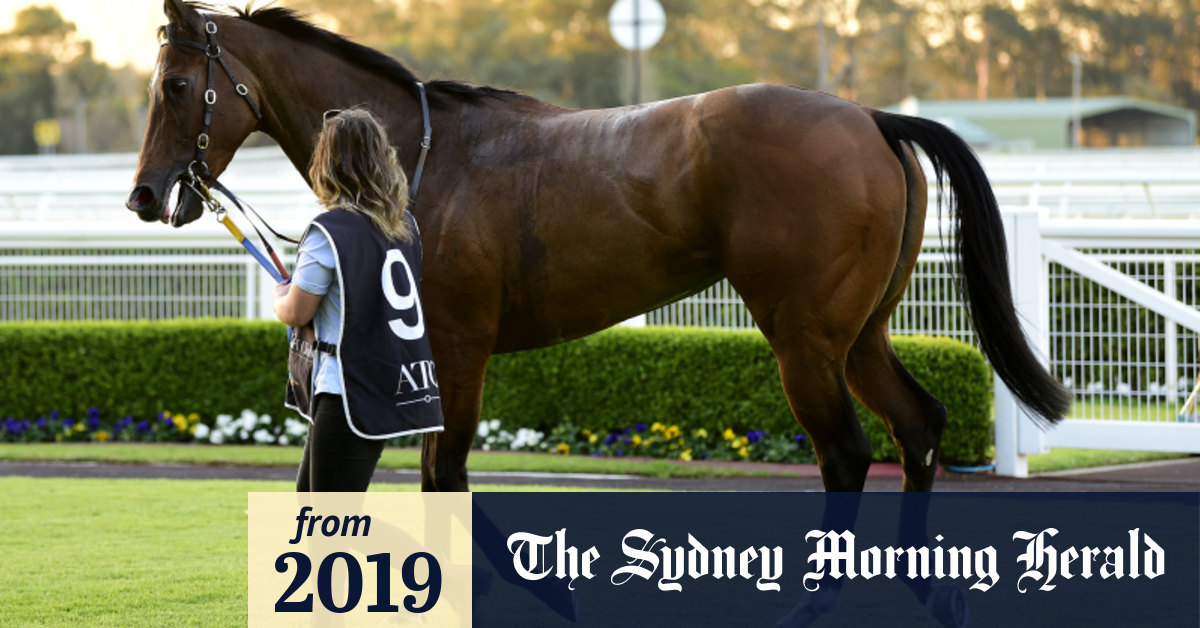 Racebyrace guide and tips for Warwick Farm on Wednesday